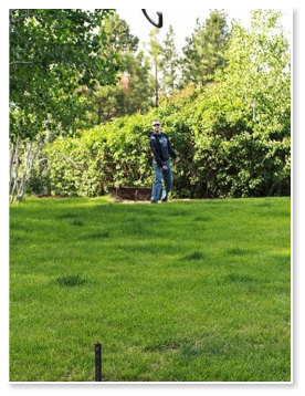 horseshoes